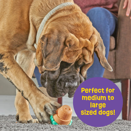 Brightkins Ice Cream Dog Toy Treat Dispenser, Playful Training for Small & Medium Dogs to Chew