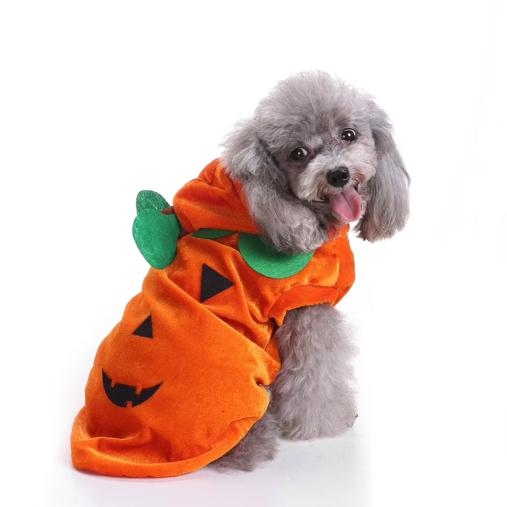 Halloween Pumpkin Dog Costumes Clothes, Cute Dog and Cat Halloween Cosplay Clothes, Fit for Small Doggy and Kitten-S